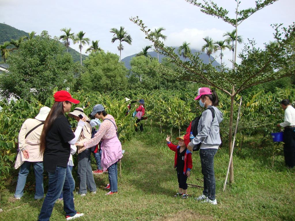 Taroko Sialin Coffee Farm Homestay Xiulin ภายนอก รูปภาพ
