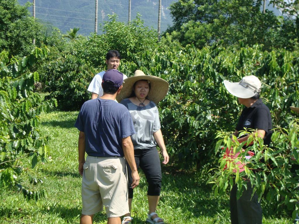 Taroko Sialin Coffee Farm Homestay Xiulin ภายนอก รูปภาพ